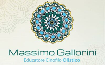 Chi è l’educatore cinofilo olistico